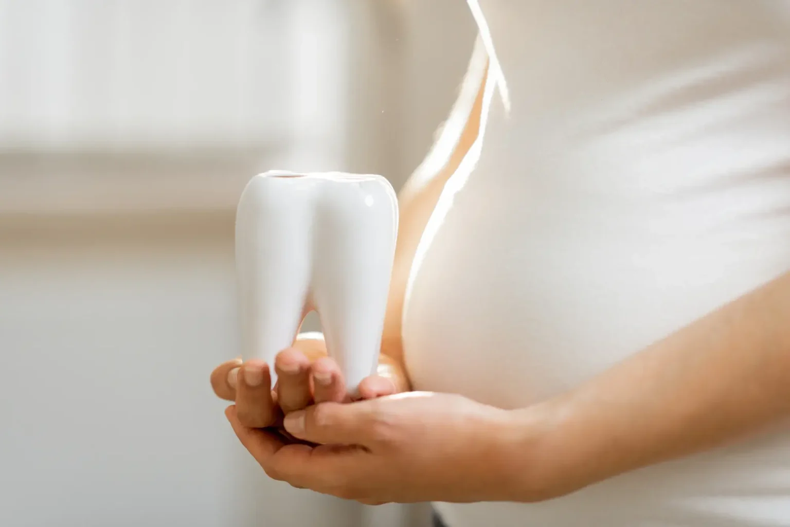 Trudna žena u rukama drži plastični model zuba.